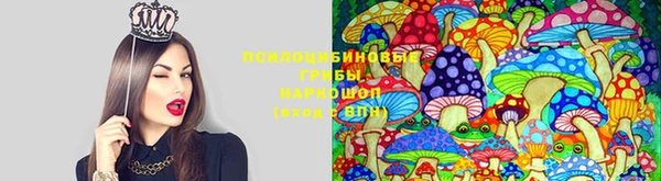 соль курить ск Кулебаки