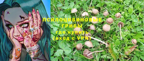 a pvp Кукмор