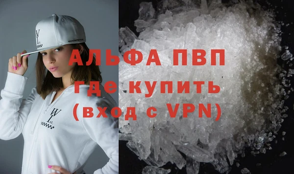 гашиш Богданович